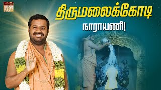 திருமலைக்கோடி நாராயணி | வெள்ளிக்கிழமை தரிசனம்