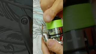 Катушка Shimano 19 Stradic