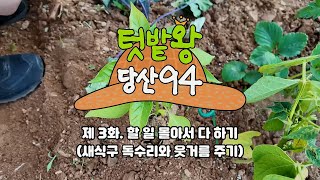 할 일 몰아서 다 하기 👩‍🌾 | 텃밭왕 당산94 3화