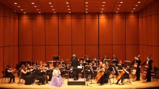 2016 Chernivtsi Philharmonie Orchestra Haegum with Orchestra concerto