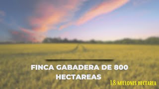 FINCA GANADERA