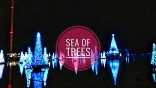 (2016) SeaWorld Orlando Christmas Celebration Sea Of Trees "Rudolph The Red-Nosed Reindeer"