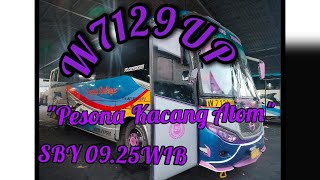 Sugeng Rahayu " Pesona Kacang Atom " W7129UP