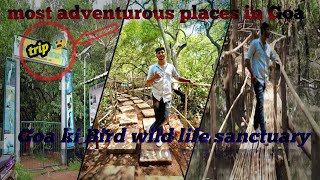 Dr. salim  Bird sanctuary ribandar Goa |Chorao Island in Goa | Most adventurous places of Goa| Goa |