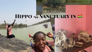 UNBELIEVABLE!!! My Close Encounter with HIPPOPOTAMUS In Ghana 🇬🇭 | WECHIAU HIPPOPOTAMUS SANCTUARY