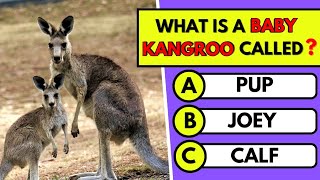 "From Jungle to Ocean: Prove Your Animal IQ!" 😱🐆 #quiz #gkquiz