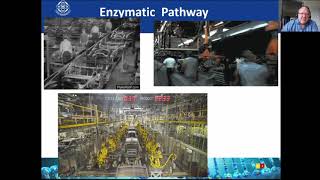 Bio L2 Enzymes