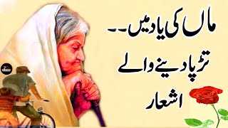 Beautiful Poetry About Mother |Maa Shayari| Maa Kalam | Parents Punjabi Poetry | Maa Watsapp Status