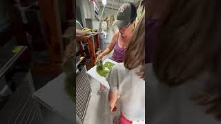 Enjoy the filming-skills of my 2 youngest kids (ages 6 & 8) while we made dill pickle herb salt