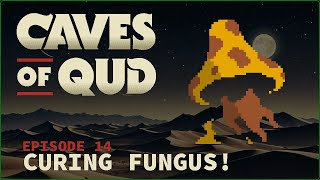 SHOOTING BLOOD!! ¦ Caves of Qud S3 ¦ Episode 14