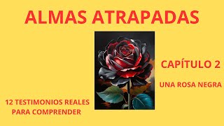 CAPÍTULO 2 UNA ROSA NEGRA / ALMAS ATRAPADAS / AUDIOLIBRO