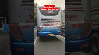 Harta Sanjaya Hino Legacy Laksana#pekalongan#pantura#shortvideo