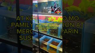 SA PAG NENEGOSYO HINDI LAHAT NG KAKILALA MOM,KAIBIGAN, KAPAMILYA AY SUSUPORTAHAN KA #aquafishzone