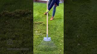 How to scarify and aerate the lawn