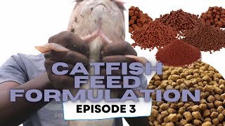 CATFISH FEED FORMULATION | hidden truths and feed ingredients identification ( Ep.3)