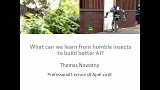 University of Sussex Professorial Lecture - Thomas Nowotny