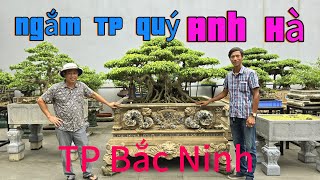 Ngắm TP quý và bể đá cổ quý nhà anh Hà Bắc Ninh