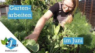 Gartenarbeit im Juni