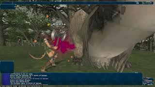 FFXI - Rambukk