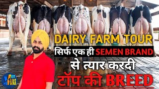 Dairy farm Tour || Imported semen Breed || NDDB-SAG || Vetvlogs