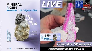 WHIS24: LIVE - 04 - Fine Art Minerals