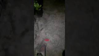 Ada Penampakan Di Kebun Sayur Atap Rumah #youtubeshorts #shorts #penampakan #sayuran #kebun