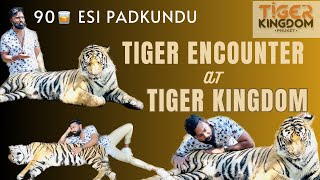 Tiger kingdom, PHUKET | Tiger encounter | Tiger Park vs Tiger Kingdom | Thailand | Travel Vlog |2023