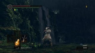 DARK SOULS™: REMASTERED Черный Дракон Каламит