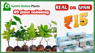 santhi online plants review ! santhi online plants #onlineplants