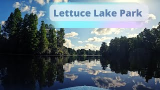 Paddle Board Lettuce Lake.  Lettuce Lake Park, 6920 East Fletcher Ave, Tampa FL  33637 .