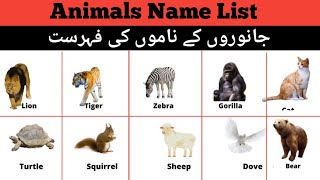 Animals Name || Animals Name in English || Animals Name vocabulary | English Practice