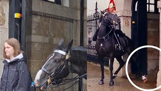 Unsettling: King's Horse Slipped Its Leg But Did Not Fall at Horse Guards on a Rainy Day in London