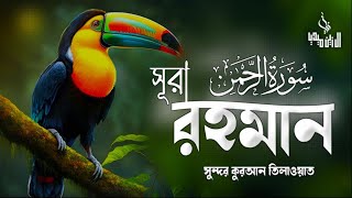 দুশ্চিন্তা, একাকীত্ব থেকে মুক্তির জন্য সুরা আর রাহমান এর  সুন্দর তিলাওয়াত টি শুনুন | Surah Ar-Rahman