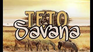 Teto - Savana 🦁