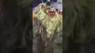 Dancing Lion in India