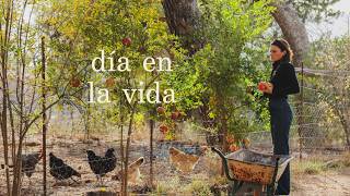 Otoño en Nuestra Casa en el Campo - Las mejores (y más simples) recetas con granada