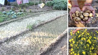 मेरे मायके के बाड़ी का दृश्य (PART-2) | my parent home's vegetable garden | Lalita's kitchen garden