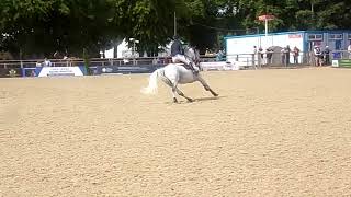 Show jumping at royal highland show