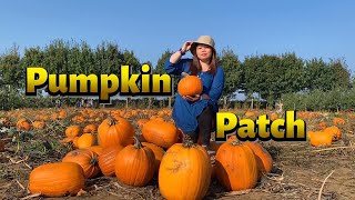 Pumpkin Patch - Abbotsford B.C., CANADA