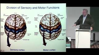 Bioelectromagnetism 04