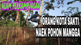 PAGI YANG INDAH DI KAMPUNG HALAMANKU