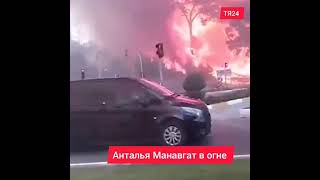 Анталья Манавгат в огне