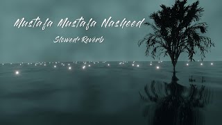 Mustafa Mustafa-Muhammad Noman Khan#slowed #reverb #arabic #rain #rainyday #soothing #arabic