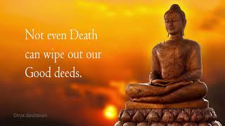 BUDDHA KARMA QUOTES/Motivational &Life changing Buddha Quotes/#quotes @divyadarshanam  #shortsvideo