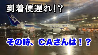 ANA34便 羽田空港到着 CAアナウンス  雨降りで終始雲中フライトでのANA CAさんによる羽田到着時の機内アナウンス