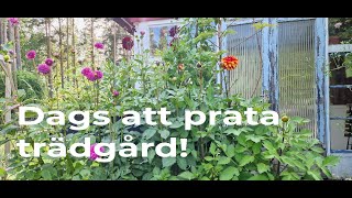 Dags att prata trädgård!