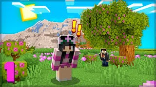 SOBREVIVENDO 100 DIAS NO MINECRAFT SURVIVAL! - MINECRAFT SOBREVIVÊNCIA #01