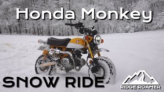 SNOW MONKEY!  On and Off Road Ride on My Honda Monkey in the Snow!