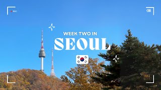 Seoul Travel Vlog 🇰🇷 | Part 2 | DDP, Cafe hopping, N Tower, Changdeokgung, Gangnam