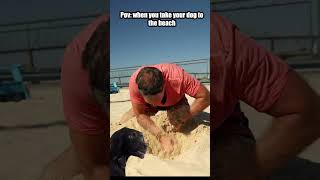 Pov when you take your dog to the beach #relatable #shorts #trending #like #subscribe #dog #doglover